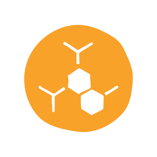 2% Alpha Arbutin