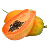 Digestive Enzymes