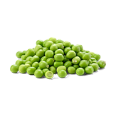 Plant Protein