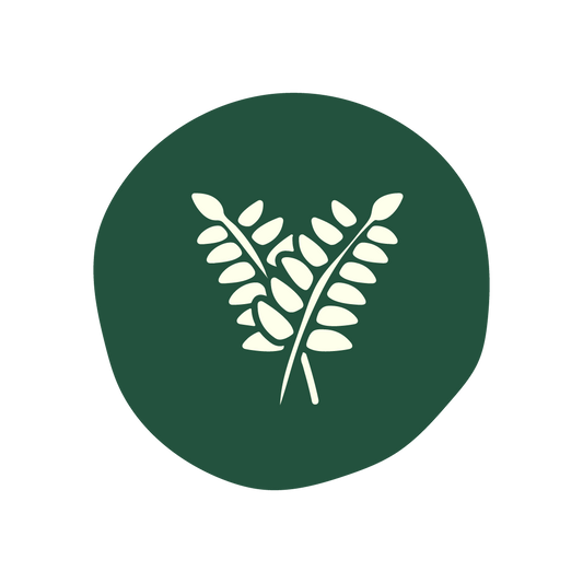  Curry Leaves 