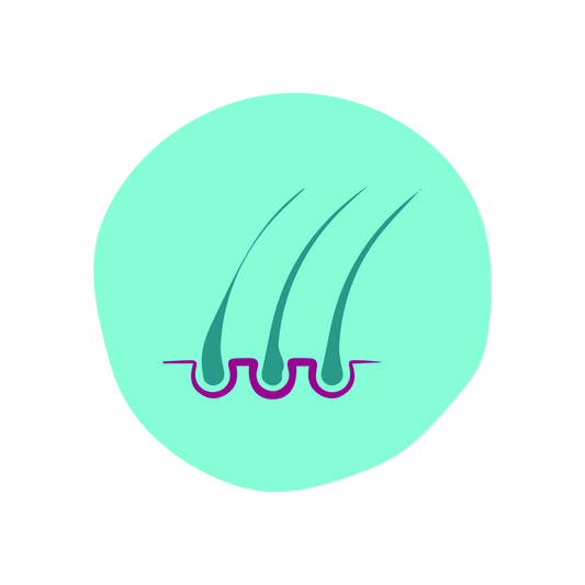  Supports in hair growth image 