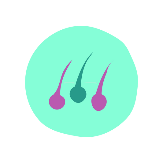  Promotes hair growth image 