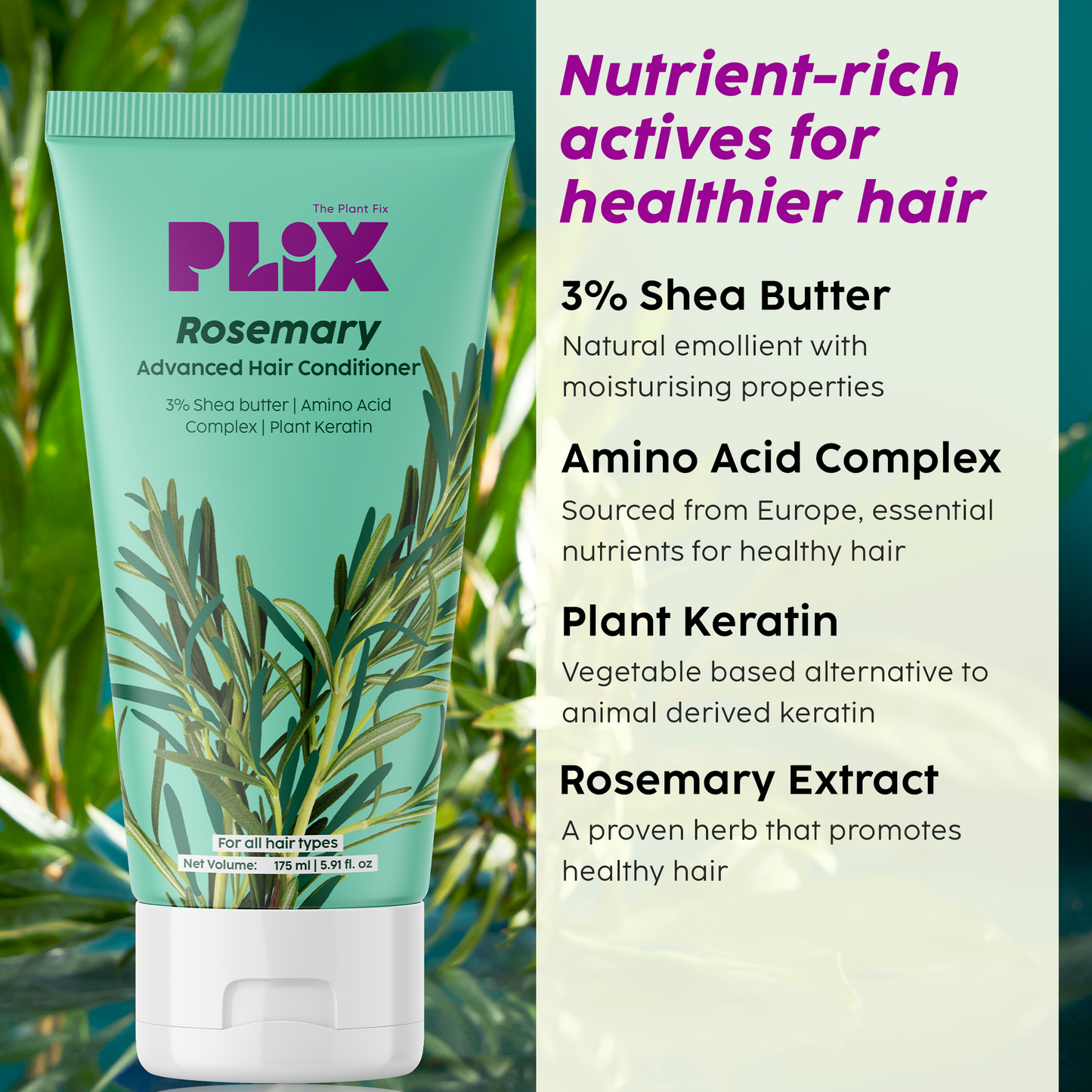 Rosemary Anti Hairfall Conditioner with 3% Shea Butter