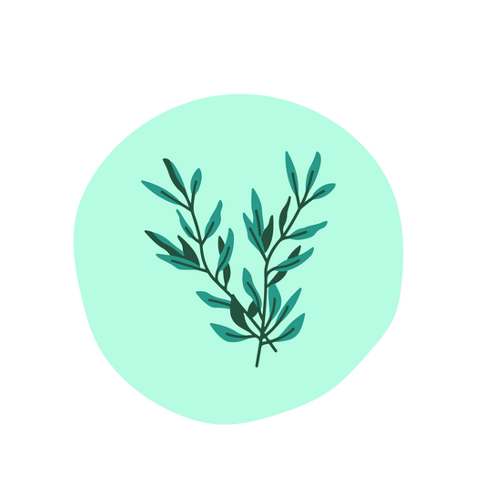  3% Rosemary Extract 